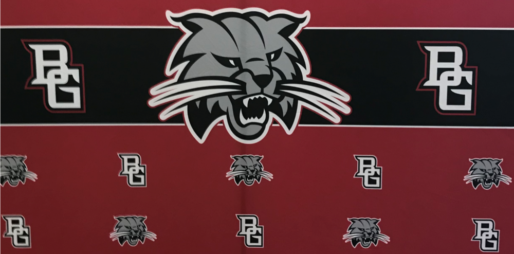 Bobcat Background